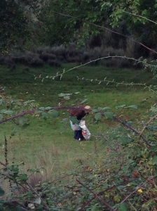woman in the middle of nowhere picking chestnuts