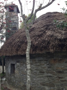 Galicean thatched roof